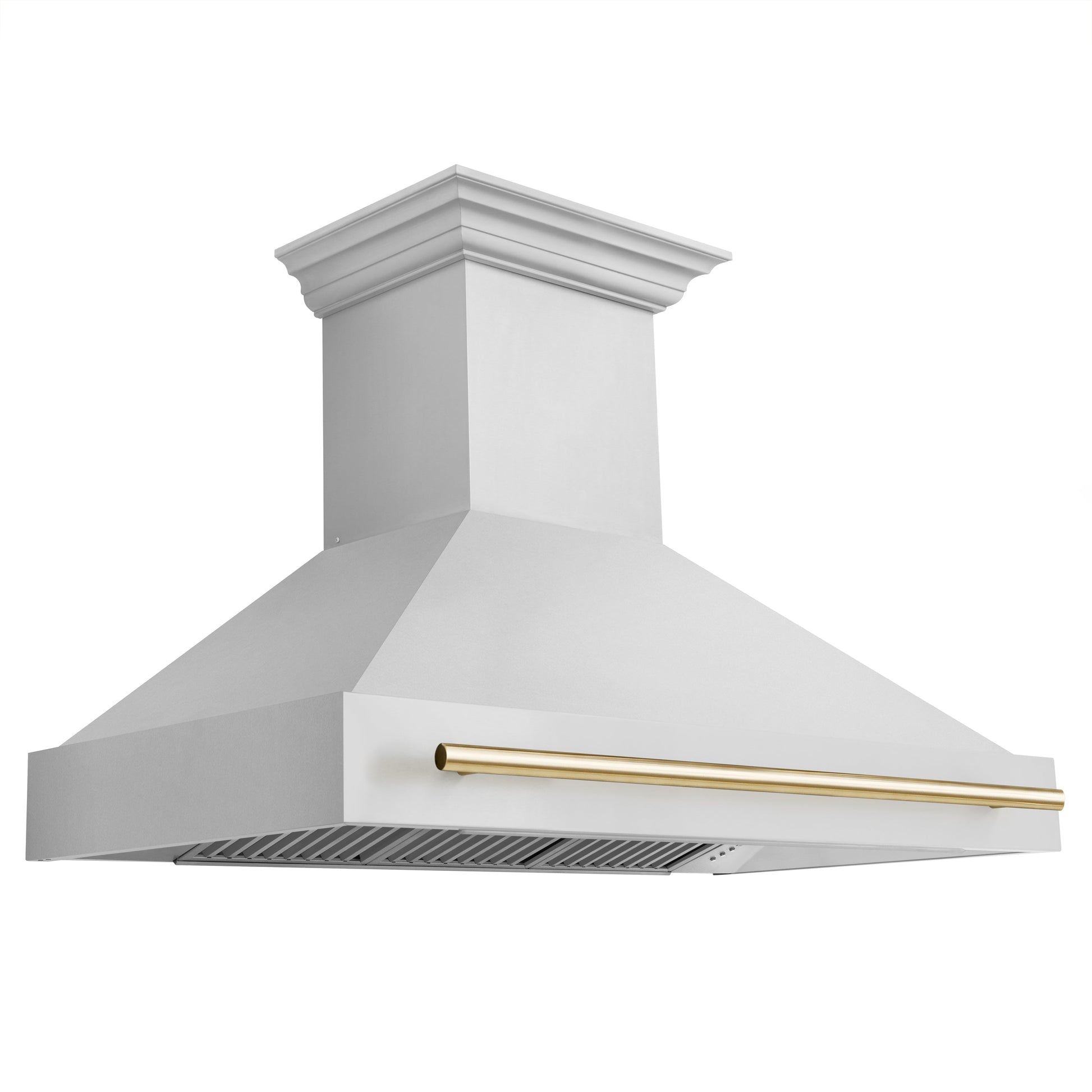 ZLINE 2-Appliance 48" Autograph Edition Kitchen Package with Stainless Steel Dual Fuel Range and Range Hood with Polished Gold Accents