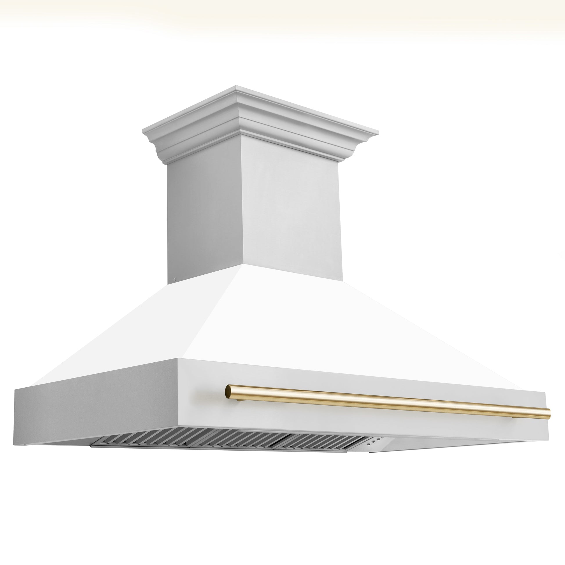 ZLINE 2-Appliance 48" Autograph Edition Kitchen Package with Stainless Steel Dual Fuel Range with Matte White Door and Range Hood with Polished Gold Accents