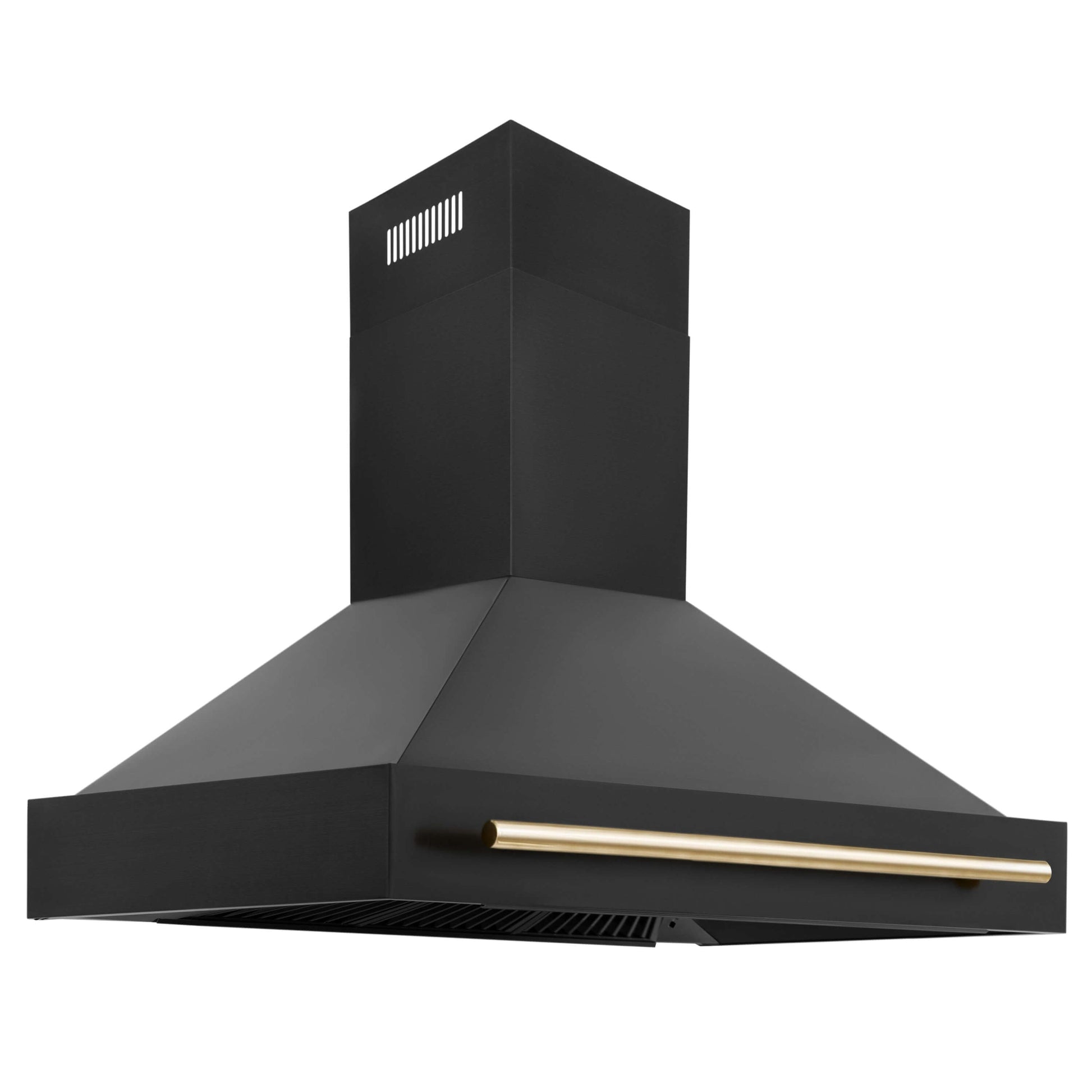 ZLINE 4-Appliance 48" Autograph Edition Kitchen Package with Black Stainless Steel Dual Fuel Range, Range Hood, Dishwasher, and Refrigeration Including External Water Dispenser with Polished Gold Accents